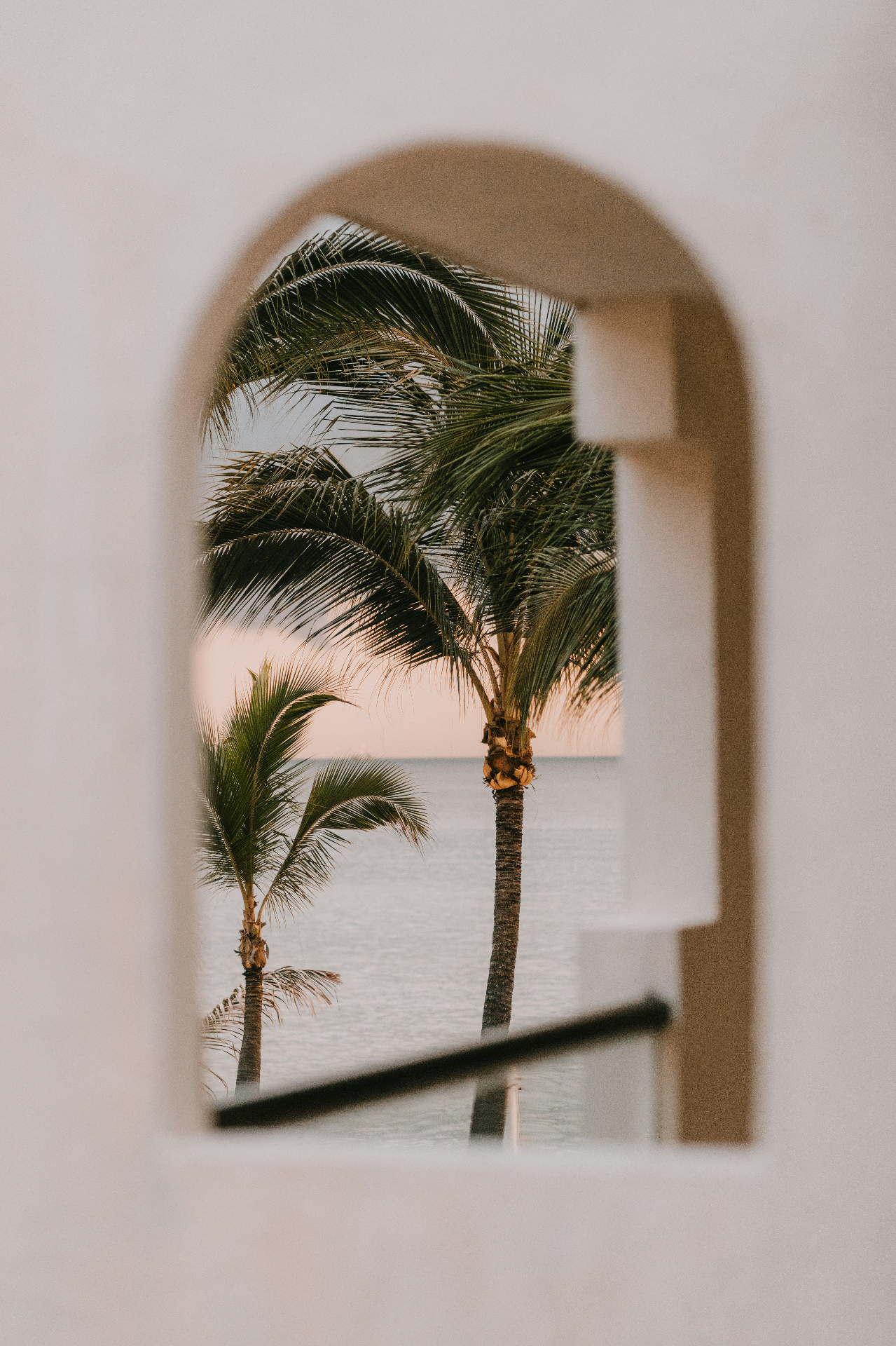 Palm trees and ocean framed by an archway